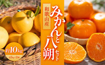 和歌山産&nbsp;みかんと八朔セット&nbsp;10kg(各5kg×2)【ヤマタ大谷商店】