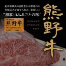和歌山の老舗専門店の味 熊野牛・国産うなぎのうな牛丼セットB