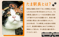 ニタマ駅長Tシャツ＜L＞・たまニタマクリアファイルセット