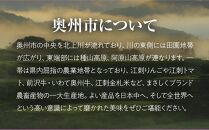 【ふるさと納税】 江刺りんご サンふじ3kg(8～10玉)【限定・10月31日までの受付】 ブランドフルーツ 厳選 【JA江刺】