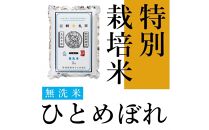 【無洗米】江刺金札米ひとめぼれ無洗パック米 2kg×5袋 令和6年産 特別栽培米 おこめ ごはん ブランド米 精米 白米