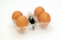 こだわりの卵「イーハトーヴの四季」と卵かけ醤油付き「朝食たまご」のセット たまご 玉子 生卵 鶏卵 タマゴ 卵かけご飯 TKG