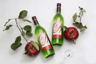 ＜完熟りんご100％使用ワイン＞「Demeter～デメテル～」 奥州市産りんごを使用した貴重なアップルワイン（720ml×2本）