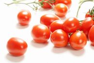 トマトピューレー（クッキングトマトすずこま） 10パック×250g 無添加 減農薬 色鮮やかな濃厚とまとピューレー