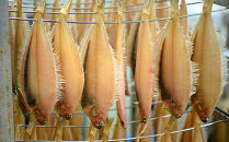 【海鮮の匠　魚政】笹かれい一夜干し（ササカレイ、ヤナギムシカレイ）大サイズ 5尾セット
