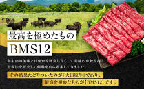 大田原牛&nbsp;極上&nbsp;すき焼き・しゃぶしゃぶ用切り落とし肉（500g）|&nbsp;ブランド牛&nbsp;和牛&nbsp;牛肉&nbsp;&nbsp;切り落とし&nbsp;高級&nbsp;すき焼き&nbsp;しゃぶしゃぶ