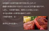 大田原牛 特上 シャトーブリアン （フィレ） ステーキ 2枚セット | ブランド牛 和牛 牛肉  高級 ヒレ 300g