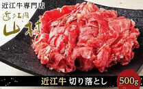 【ポイント交換専用】近江牛&nbsp;切り落とし&nbsp;500g