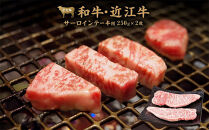【ポイント交換専用】近江牛サーロイン&nbsp;ステーキ&nbsp;250g×2枚