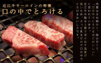 【ポイント交換専用】近江牛サーロイン&nbsp;ステーキ&nbsp;250g×2枚