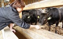 ◆近江牛シャトーブリアンロース・極上近江牛ヒレステーキセット/宝牧場