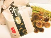 ◆実生庵の9月上旬お届け【新米予約】農家直送 近江米 コシヒカリ 5kg× 1袋 精米済