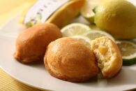 G7広島サミットコーヒーブレイクで採用！瀬戸田レモンケーキ島ごころ15個【レモンケーキ&nbsp;瀬戸田レモン&nbsp;焼き菓子&nbsp;洋菓子&nbsp;スイーツ&nbsp;お菓子&nbsp;お取り寄せスイーツ&nbsp;名産&nbsp;ご当地スイーツ&nbsp;支援品&nbsp;返礼品&nbsp;特産品&nbsp;名産品&nbsp;スウィーツ　累計300万個突破！】