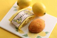 島ごころレモンケーキ＆ネーブルケーキ（各１０個）【広島県尾道市&nbsp;広島&nbsp;尾道&nbsp;ふるさと&nbsp;納税&nbsp;支援&nbsp;レモンケーキ&nbsp;瀬戸田レモン&nbsp;焼き菓子&nbsp;洋菓子&nbsp;スイーツ&nbsp;お菓子&nbsp;お取り寄せスイーツ&nbsp;名産&nbsp;ご当地スイーツ&nbsp;支援品&nbsp;返礼品&nbsp;特産品&nbsp;名産品&nbsp;スウィーツ】
