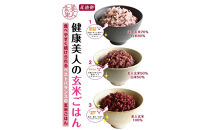 【定期便全12回】玄米・黒米・大豆の雑穀ブレンド&nbsp;美人玄米&nbsp;1kg×12ヶ月