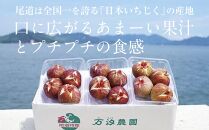 【期間限定】《海辺のいちじく園》日本いちじく  300g×3パック