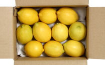【20箱限定】皮まで美味しい無農薬レモン 約3kg