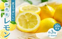 【20箱限定】皮まで美味しい無農薬レモン 約3kg