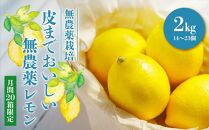 【20箱限定】皮まで美味しい無農薬レモン2kg
