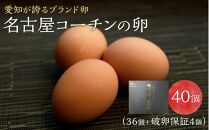 ☆名古屋コーチンの卵40個入り（36個+破卵保証4個）