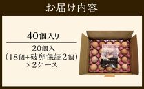 ☆名古屋コーチンの卵40個入り（36個+破卵保証4個）