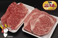 近江牛ステーキセット【肉の津田】霜降り肉と赤身肉の食べ比べ！近江牛 滋賀 近江牛 和牛 牛肉 リブロース ランプ ステーキ 近江牛 牛肉 近江牛 和牛 おすすめ 近江牛 彦根 近江牛 ひこね 和牛 牛肉 彦根 黒毛和牛 リブロースステーキ ランプステーキ 近江牛 国産牛 近江牛 牛肉 黒毛和牛 牛 おすすめ リブロース ランプ ステーキ食べ比べ 近江牛 牛肉 和牛 送料無料