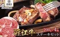 近江牛ステーキセット【肉の津田】霜降り肉と赤身肉の食べ比べ！近江牛 滋賀 近江牛 和牛 牛肉 リブロース ランプ ステーキ 近江牛 牛肉 近江牛 和牛 おすすめ 近江牛 彦根 近江牛 ひこね 和牛 牛肉 彦根 黒毛和牛 リブロースステーキ ランプステーキ 近江牛 国産牛 近江牛 牛肉 黒毛和牛 牛 おすすめ リブロース ランプ ステーキ食べ比べ 近江牛 牛肉 和牛 送料無料