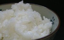 【玄米2kg×２】高級米食べ比べ　令和6年産  岩手県奥州市産 ひとめぼれ2kg 金色の風2kg　【７日以内発送】