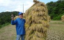 【玄米2kg×２】高級米食べ比べ　令和6年産  岩手県奥州市産 ひとめぼれ2kg 金色の風2kg　【７日以内発送】