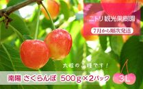 フルーツ王国余市産「南陽」3Lサイズ 500g×2【ニトリ観光果樹園】