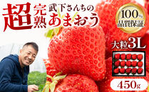 【2027年1月～4月出荷分予約販売】★福岡の産直いちご農家★武下さんちの「完熟あまおう」3Lサイズ&nbsp;450g【あまおう&nbsp;完熟&nbsp;いちご&nbsp;苺&nbsp;イチゴ&nbsp;くだもの&nbsp;果物&nbsp;フルーツ&nbsp;大粒&nbsp;450g&nbsp;ご当地&nbsp;ブランド&nbsp;ギフト&nbsp;人気&nbsp;おすすめ&nbsp;送料無料&nbsp;福岡県&nbsp;大川市&nbsp;AA028】
