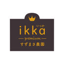 特別なかぼちゃ ikkaプレミアム【8月-9月発送】｜新潟　新潟県　カボチャ　かぼちゃ　南瓜