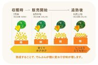 特別なかぼちゃ ikkaプレミアム【8月-9月発送】｜新潟　新潟県　カボチャ　かぼちゃ　南瓜