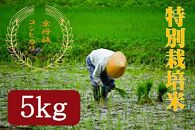 【年間お届け】特別栽培米コシヒカリ 5kg 月1回×12カ月