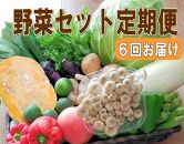 【定期便 / 全6回：奇数月お届け】旬の新鮮野菜セットB（たっぷり15品以上）