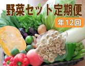 [毎月お届け全12回]旬の新鮮野菜セットA(たっぷり15品以上)