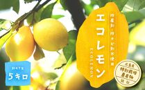 エコレモン５Ｋｇ-防腐剤・防カビ剤不使用で皮まで安心　広島県特別栽培農産物認証