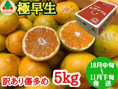 訳あり&nbsp;傷多め&nbsp;極早生&nbsp;有田&nbsp;みかん&nbsp;5kg&nbsp;L～SS&nbsp;サイズおまかせ&nbsp;南泰園&nbsp;和歌山&nbsp;有田みかん