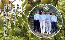 紀州南高梅使用 いちご風味完熟梅干し 400g【TM154】