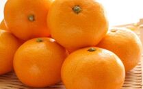 ※在庫切れ※【産直】下津の早生みかん約5kg（2Sサイズ）