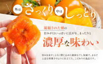 あんぽ柿&nbsp;70g×10個&nbsp;｜フルーツ&nbsp;くだもの&nbsp;果物&nbsp;柿&nbsp;かき&nbsp;カキ&nbsp;あんぽ柿&nbsp;和歌山県&nbsp;和菓子&nbsp;スイーツ&nbsp;お菓子&nbsp;柿