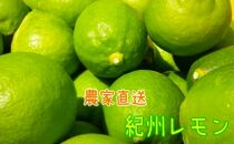 【国産】農家直送!　紀州レモン　約3kg