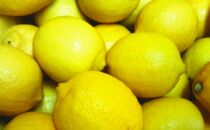 【国産】農家直送!　紀州レモン　約3kg