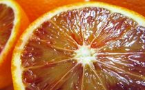 【高級柑橘】和歌山県産ブラッドオレンジ“タロッコ”約3kg