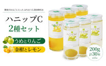 果実入り清涼飲料水&nbsp;ハニップC2種類セット&nbsp;［PL7］