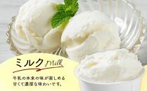 【高橋牧場の新鮮な牛乳を使用】ミルク工房　カップアイスセット1（130ml×10個）