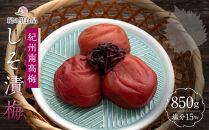 紀州南高梅&nbsp;しそ漬梅&nbsp;850g×1箱&nbsp;［Kn4］