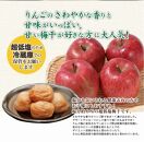 徳用　りんご梅 (1.7kg×1箱）