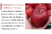 【数量限定】江刺りんご サンふじ  2.5kg 贈答用化粧箱入【12月お届け】