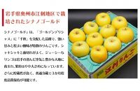 【数量限定】江刺りんご（サンふじ・シナノゴールド） 贈答用化粧箱入 2.5kg【12月お届け】